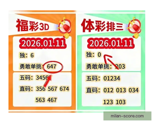 精准分析与策略预测：打造科学体育竞猜赢利模式